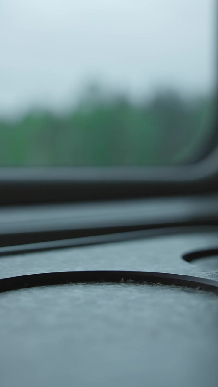 Vista dal finestrino di un treno che attraversa la campagna verde