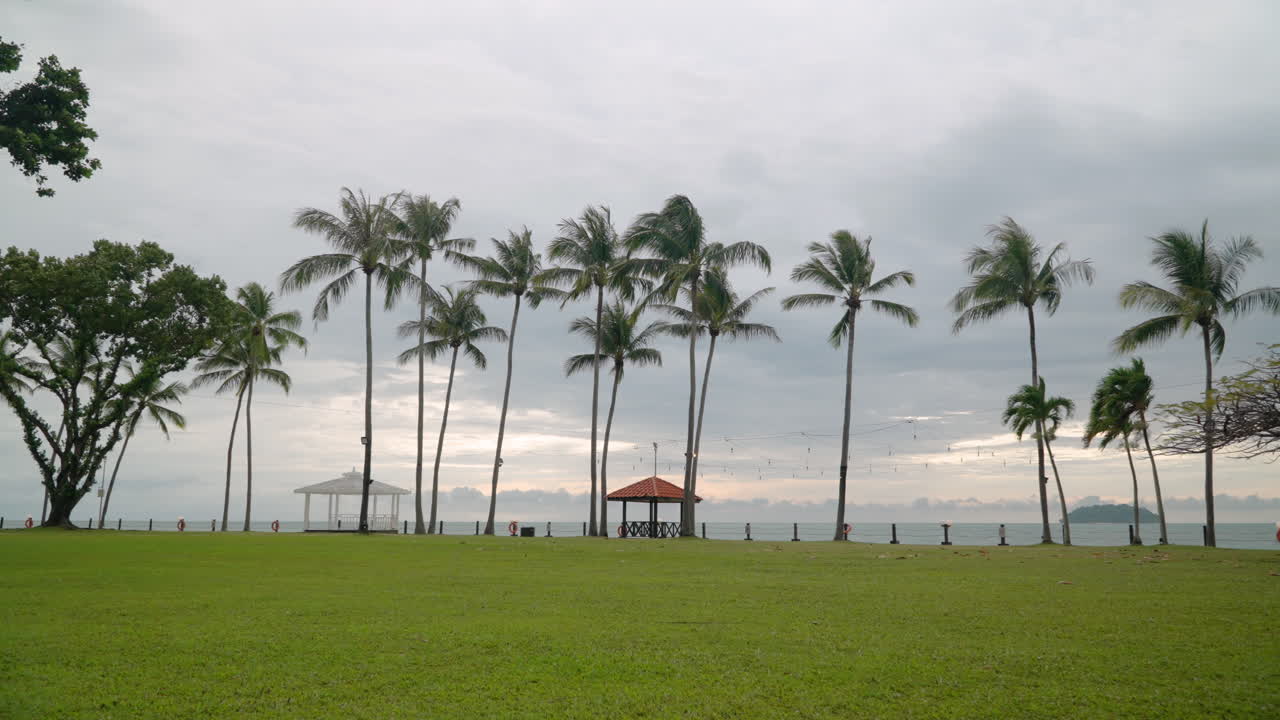 playa de tanjung aru -palmas de coco altas con horizonte nublado nublado al atardecer - toma de establecimiento