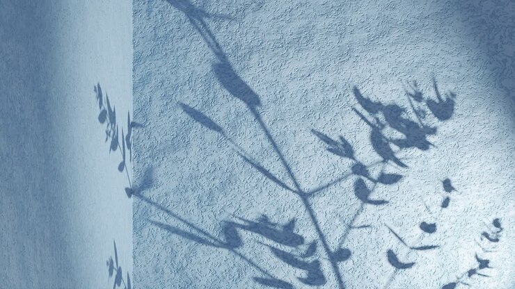 Plant leaf shadow on blue corner wall gently move from breeze wind animation