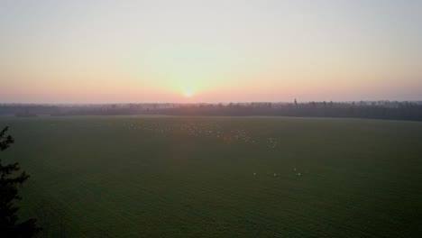 Magie-Der-Natur-Als-Faszinierender-Anblick-Von-Zugvögeln-Im-Flug-Bei-Sonnenaufgang