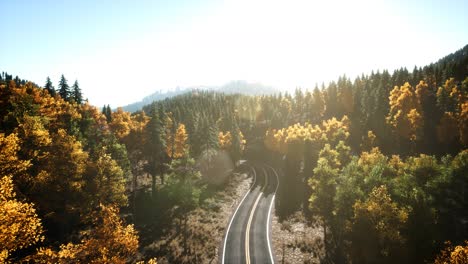 aerial drone view flight over pine tree forest in mountain at sunset