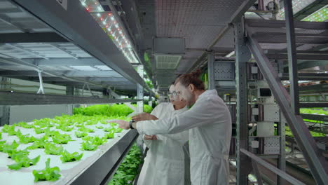 sistema de agricultura vertical moderna y sus empleados que cuidan de las plantas. producción de alimentos vegetales en capas apiladas verticalmente.