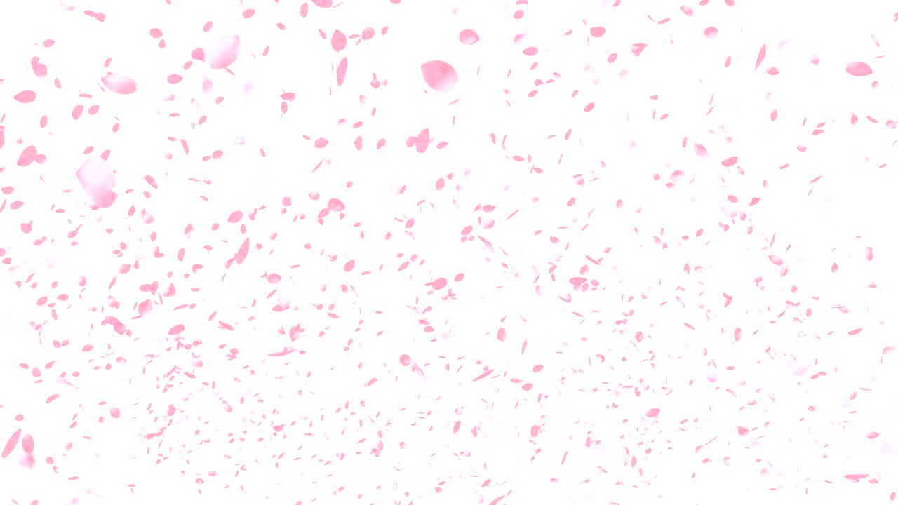 체리 꽃, 분홍색 꽃, 봄의 계절, 끊임없는 루프