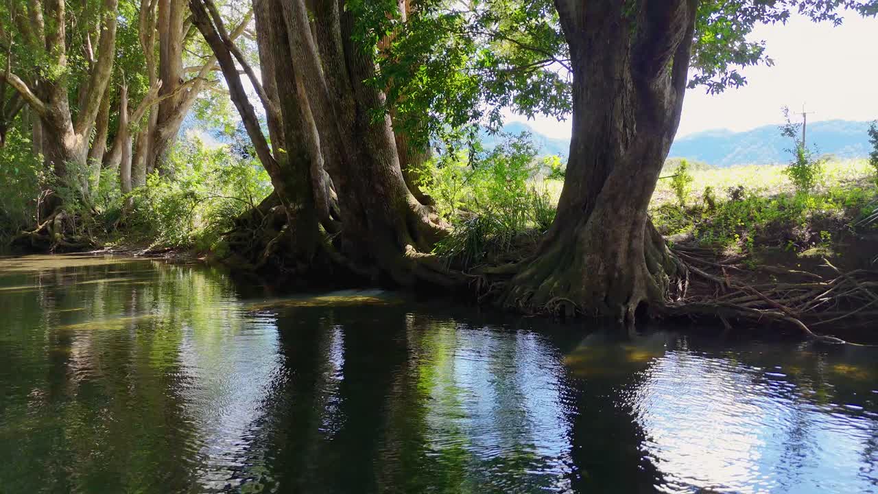 A tranquil river scene with sunlight filtering through lush trees, reflecting on clear water, creating a peaceful atmosphere