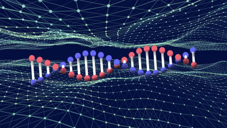 Animating-DNA-double-helix-and-network-connections,-visualizing-scientific-data