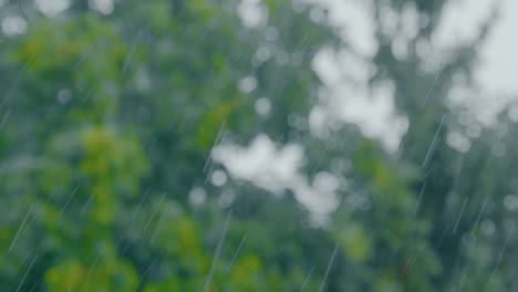 Pan-A-Través-De-Los-árboles-Durante-Una-Fuerte-Lluvia