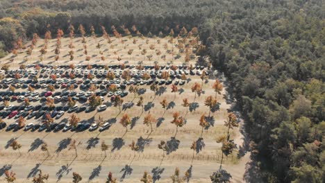 sideway aerial drone shot of a parking space in the middle of a forest with cars parked and sunlight creating shadows of the symmetrically placed trees