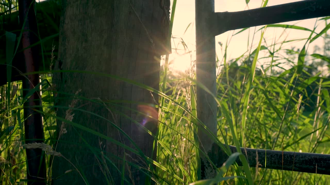 Countryside Gate at Sunset