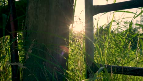 countryside gate at sunset