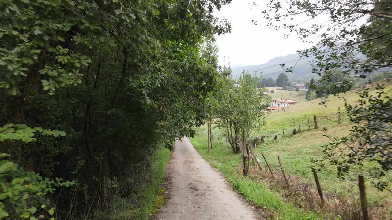Drone footage of a rural dirt road under trees forming a forest