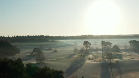 Puesta-De-Sol-Brillante-Sobre-La-Deriva-De-Arena-Con-Bosque-Denso-En-Soester-Duinen-En-Países-Bajos