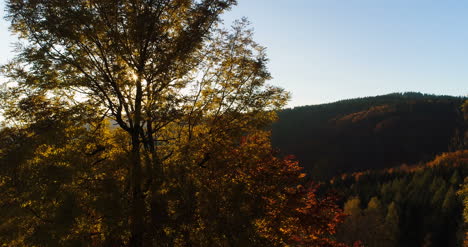 Aerial-View-Sunrise-Sunset-Over-Of-Forest-6