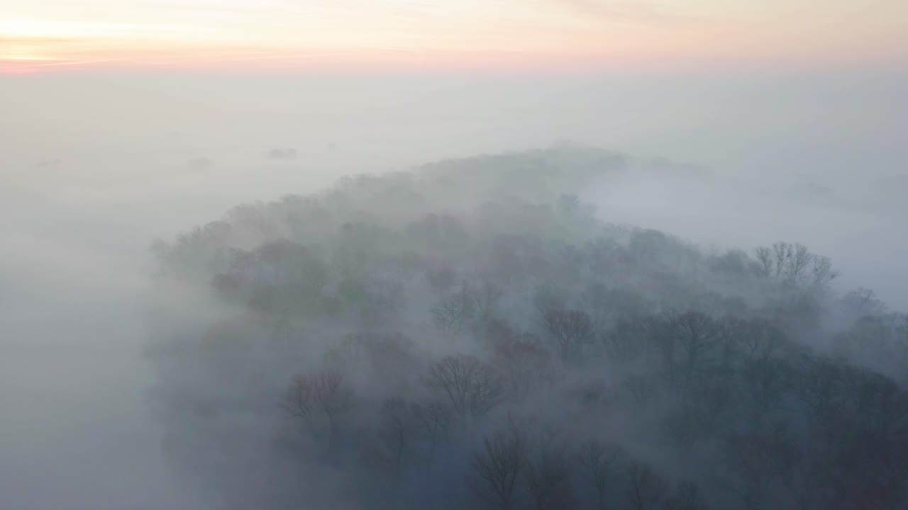 짙은 안개와 함께 일몰 동안 강 근처 숲의 공중 전망
