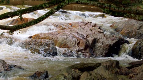 Tributaries-to-the-rivers-in-Brazil-are-shallow-due-to-global-warming-causing-drought-conditions