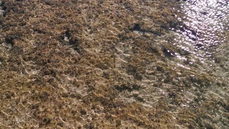 Vista-Al-Mar-Y-Arena.-Fondo-De-Agua-De-La-Orilla-Del-Mar