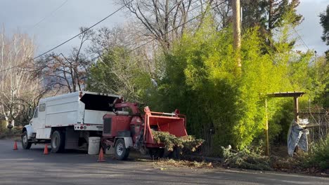 Two-men-clear-fallen-trees-with-a-woodchipper