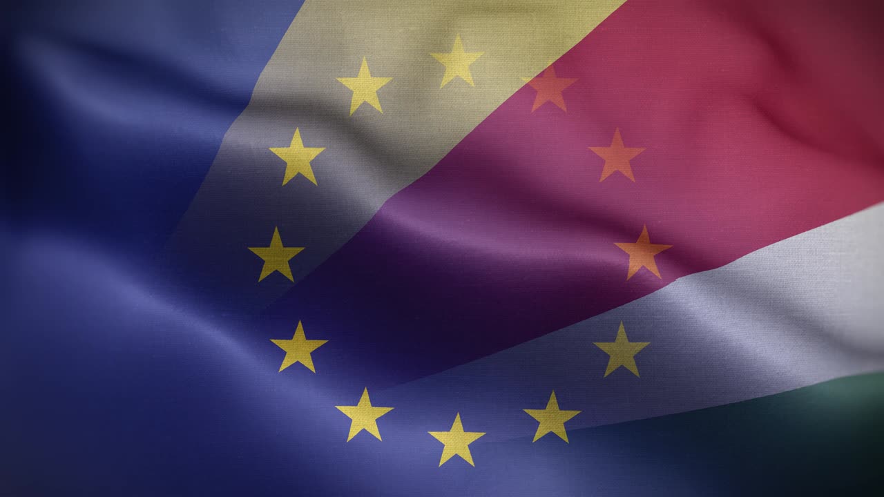 세이의 발 루프 배경 4k