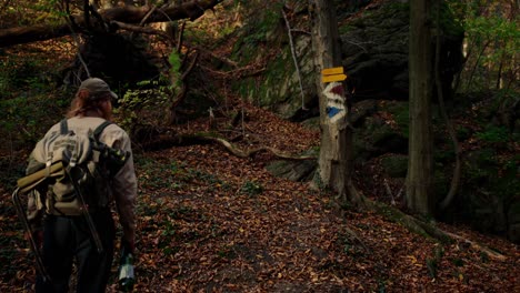 Hiker-Holding-Bottle-Walking-In-Forest-Looking-To-Sign-Direction-Hanged-On-Tree,-Vogelberg