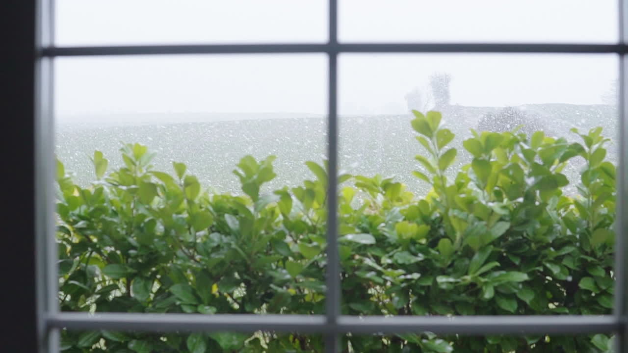 창을 통해 정원 관목에 떨어지는 겨울 눈