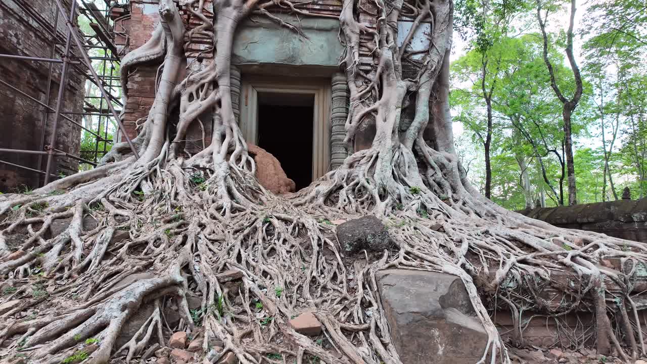 Walkthrough shot of an ancient temple doorway wrapped in roots from the ruins of Prasat Bram at Koh Ker, Cambodia.