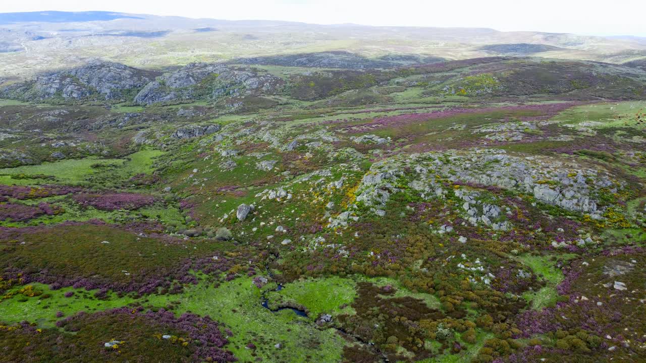 secundera ravine and arroyo de los toriles 산악 풍경, zamora 스페인