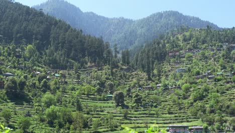 plants, houses and natural diversity of the mountainous region.