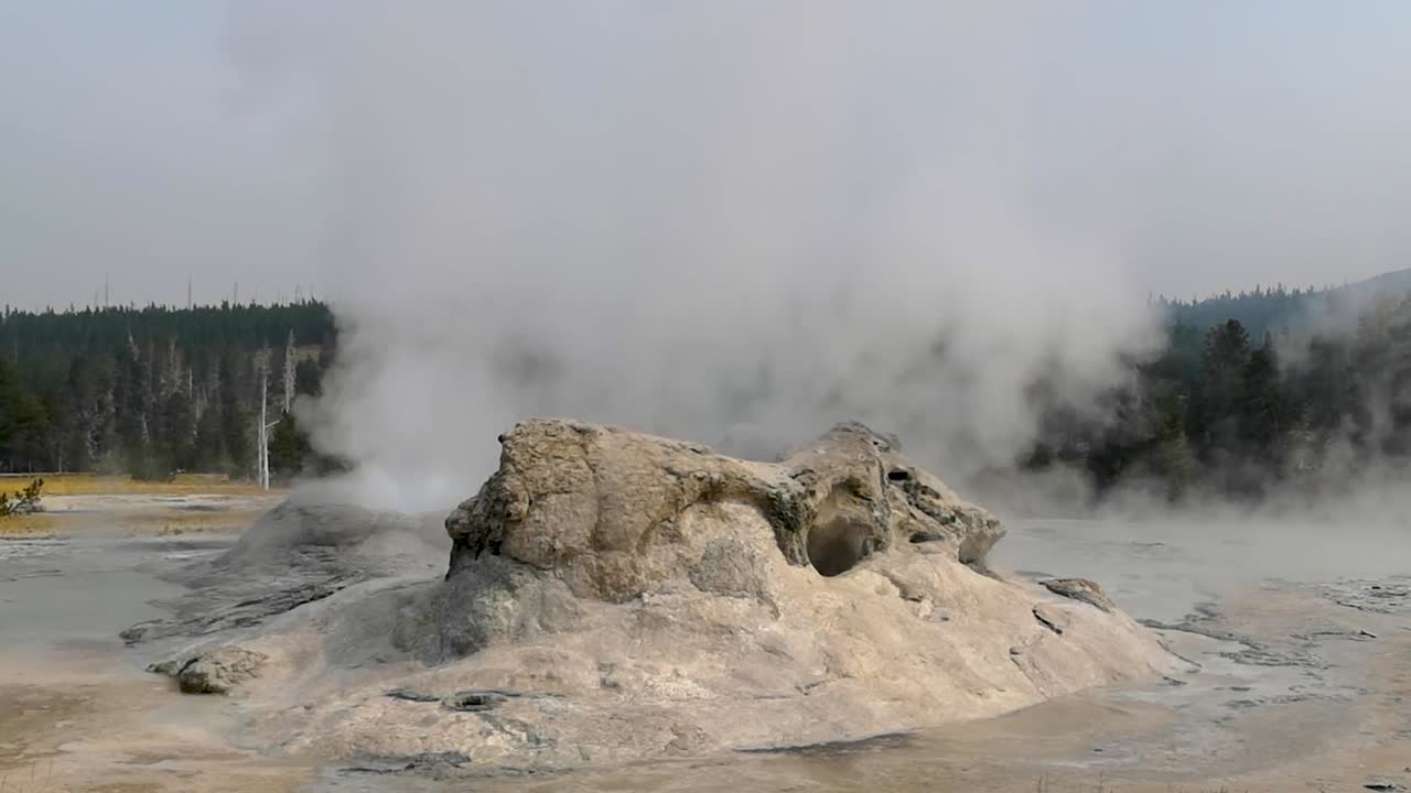 el agua brota del géiser de la gruta en erupción en la cuenca superior del géiser, el parque nacional de yellowstone, wyoming - plano general