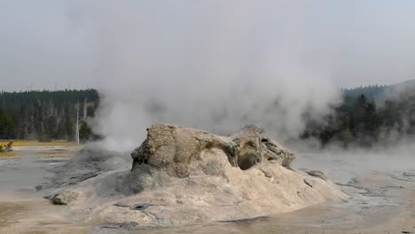 Water-Spurts-Out-Of-The-Erupting-Grotto-Geyser-In-The-Upper-Geyser-Basin,-Yellowstone-National-Park,-Wyoming---wide-shot