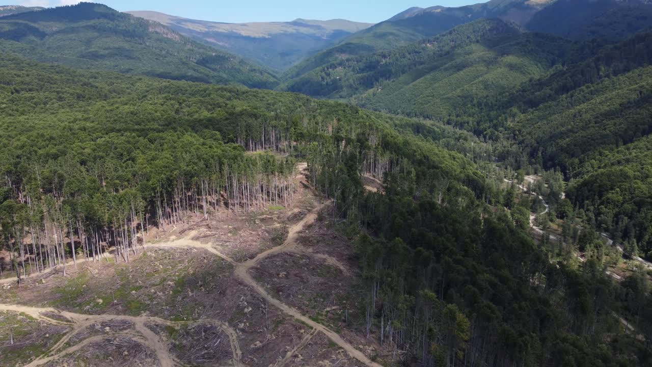 aéreo: deforestación de bosques de colinas en rumania, europa central - toma panorámica de drones