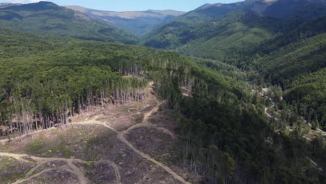 aerial: hill forest deforestation in romania, central europe - drone panning shot