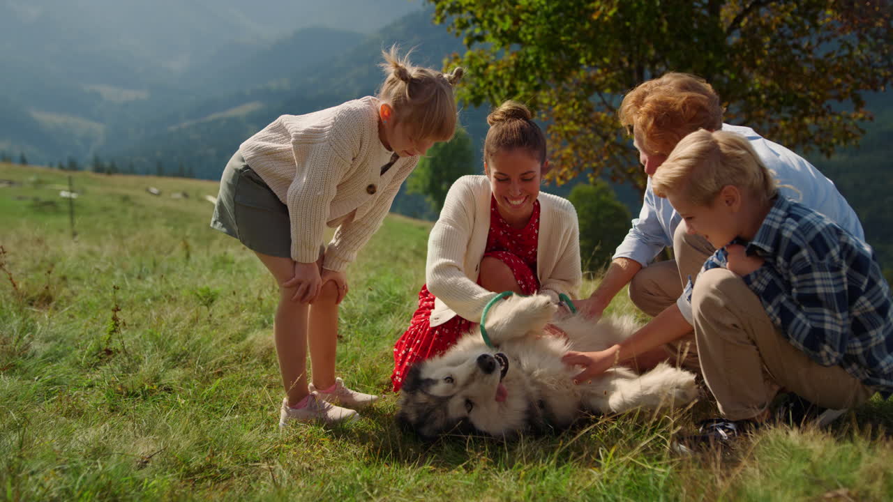 가족의 애완견이 녹색 잔디에 가까이 누워 있습니다. 허스키가 애완견을 즐기고 있습니다.