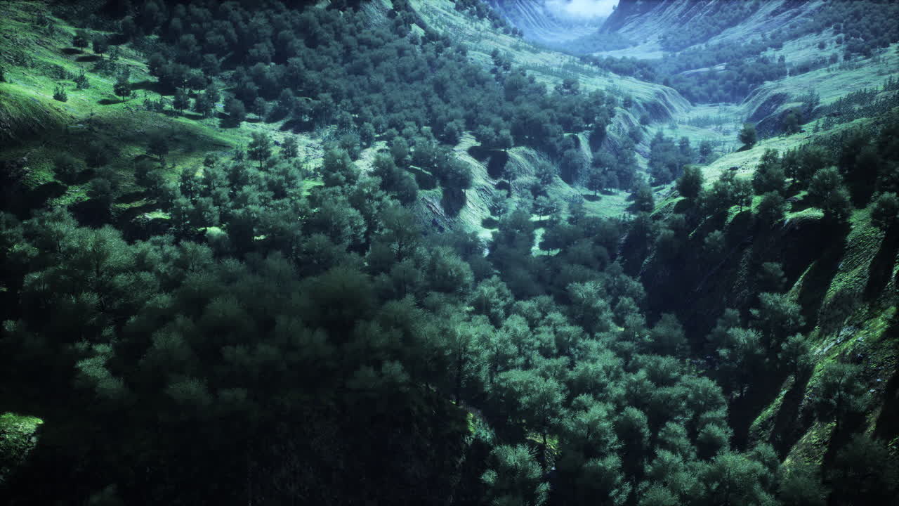 disparo de un arroyo en medio de bosques verdes rodeados de colinas