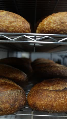 freshly baked bread on racks