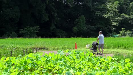 a grandfather walks his little granddaughter along one of the trails in kitayama park in tokyo, japan