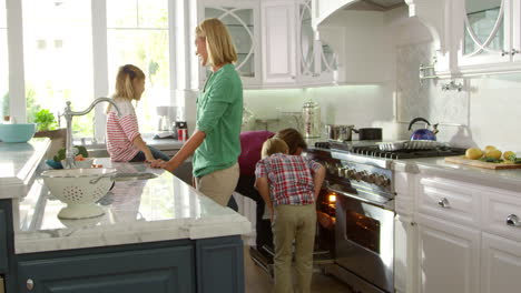 family preparing roast turkey meal in kitchen shot on r3d