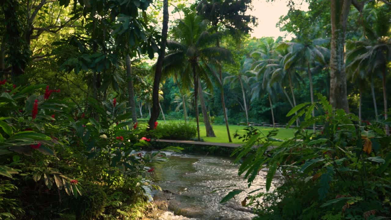 Jamaica | Ocho Rios Coast | Dunn’s River Falls & Park | Tranquility Garden.