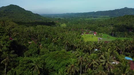 along with being surrounded by a hill that is covered in green vegetation, there are numerous buildings and houses that are encircled by a dense canopy of palm palms