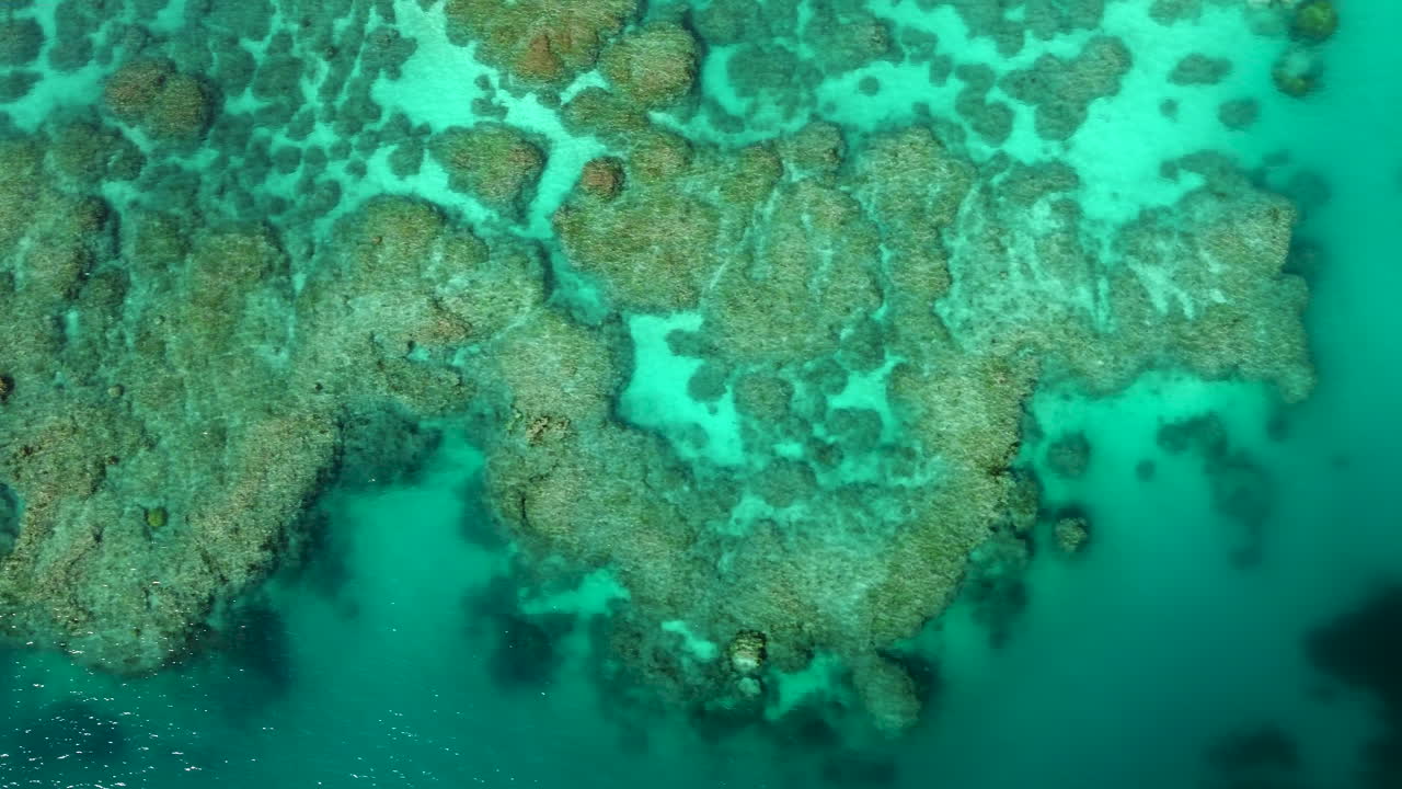 toma aérea izquierda de aguas cristalinas y arrecifes de coral de nueva caledonia