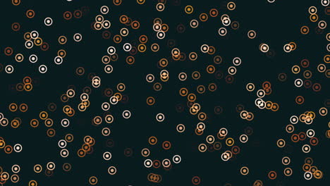 dynamic circles vibrant and varied pattern on a black background