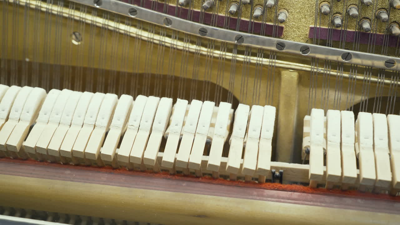 Piano. Principles of the work of musical instruments.
