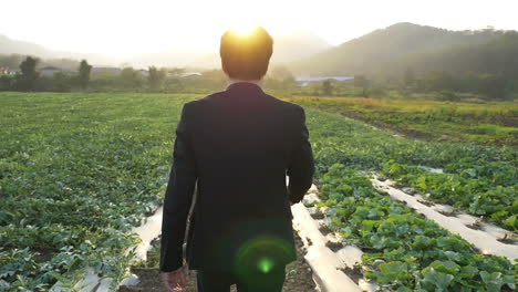 business man walking in field with sunset