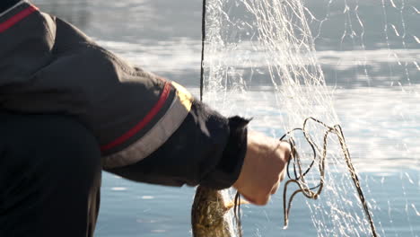 Close-slomo-of-male-hands-and-pike-fish-stuck-in-fishing-net-by-water