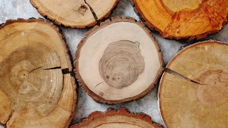 sección de árbol circular de madera agrietada envejecida con anillos