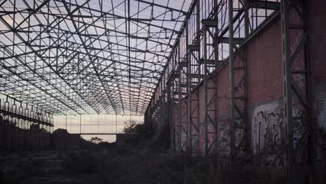 abandoned warehouse - walking inside near wild vegetation and murals at sunset