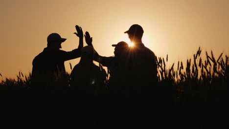 a team of successful farmers emotionally congratulates each other standing in a wheat field