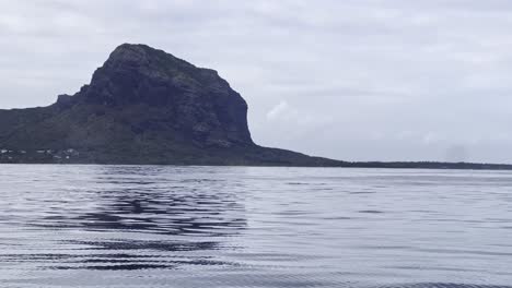 a humpback whale mother and calf gently break the water's surface to breathe and blow in front of the morne mountain