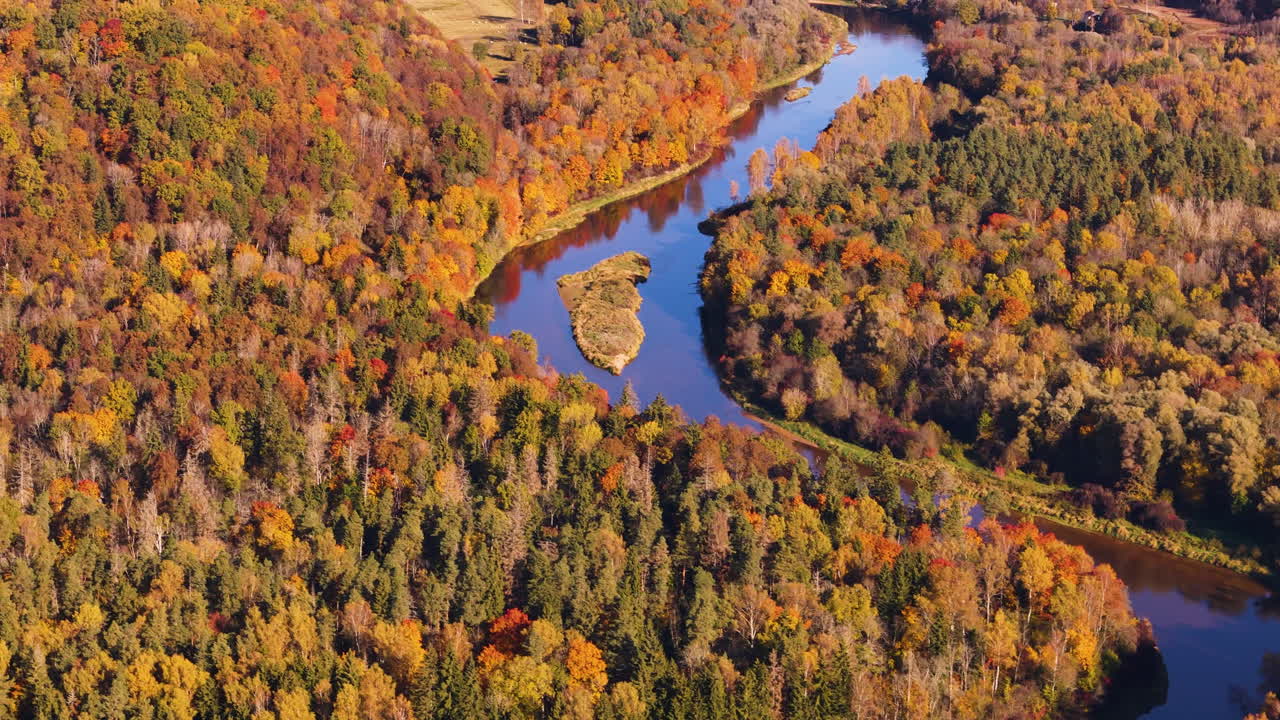 A golden autumn aerial of Sigulda, Latvia, colorful red orange foliage and winding river paths, tilt up, natural backdrop