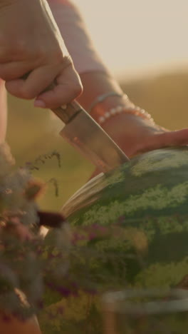 primer plano de una persona cortando sandía al aire libre con un cuchillo, capturando la piel verde vibrante de la fruta y el arreglo floral en primer plano bajo la cálida luz del sol