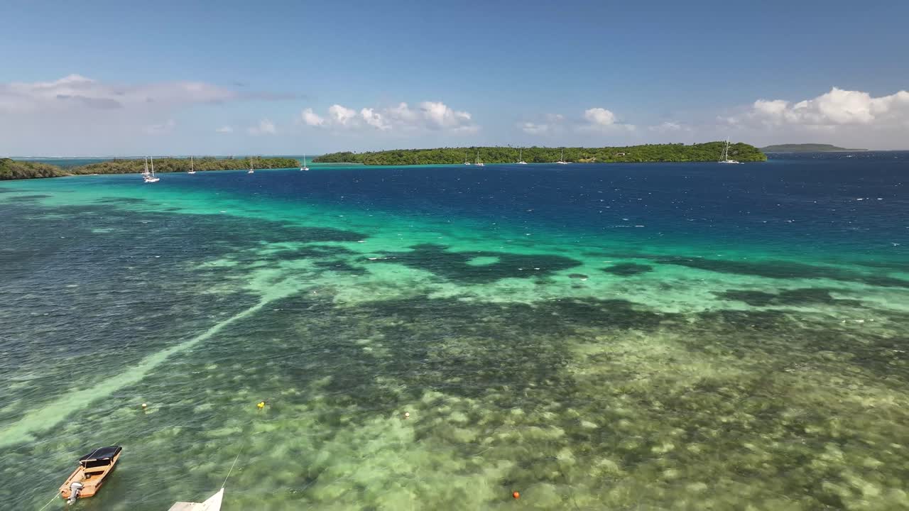 Vava'u, Tonga - A Charming Island Featuring Boats Moored Along a Shoreline Adorned With Swaying Palm Trees - Drone Flying Forward
