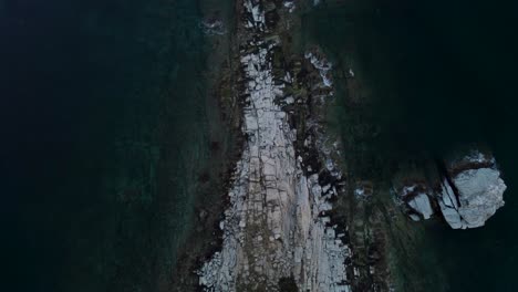 top down aerial of rocks at seashore with sea birds flying